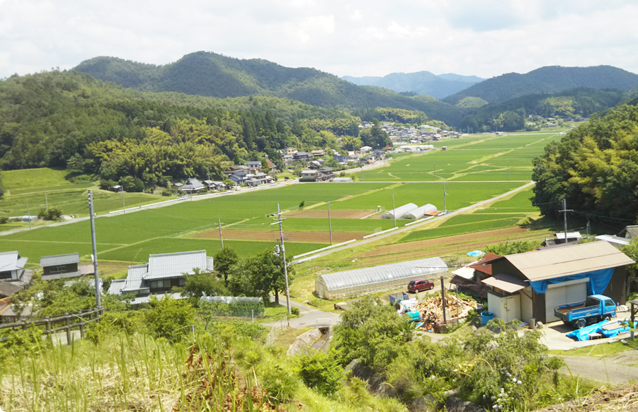 西村farmってどんな農家？